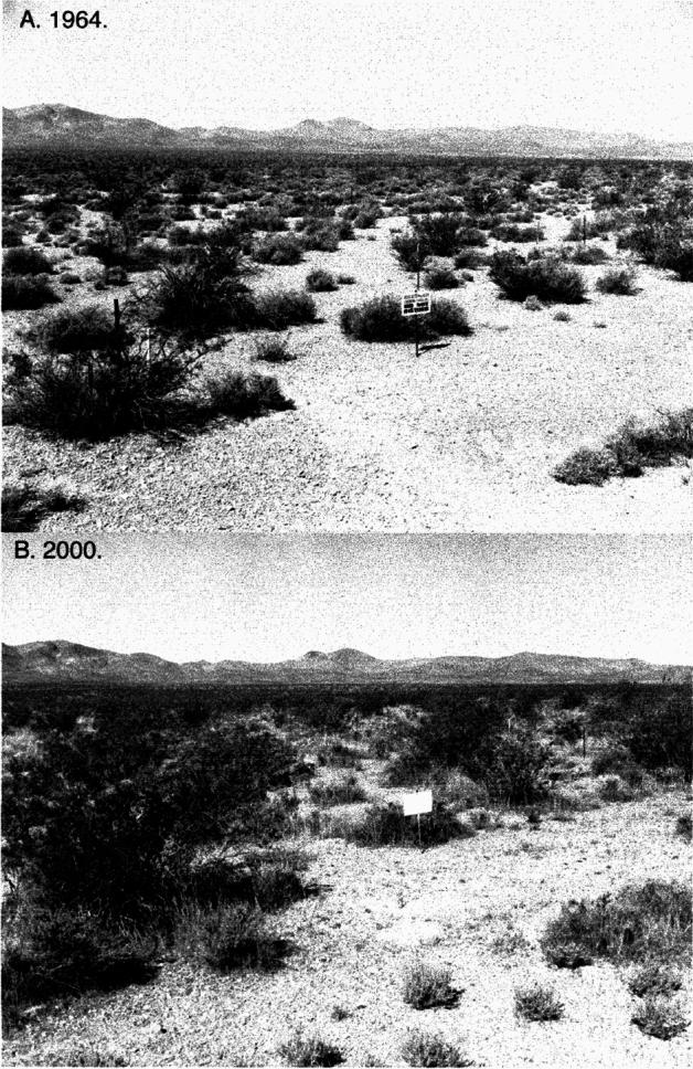 https://cdn.ncbi.nlm.nih.gov/pmc/blobs/9c52/12246011/258c1f3ea863/10739_2025_9819_Fig5_HTML.jpg