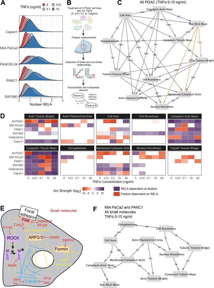https://cdn.ncbi.nlm.nih.gov/pmc/blobs/9c53/11524587/69bb4a75db57/elife-86042-fig2.jpg