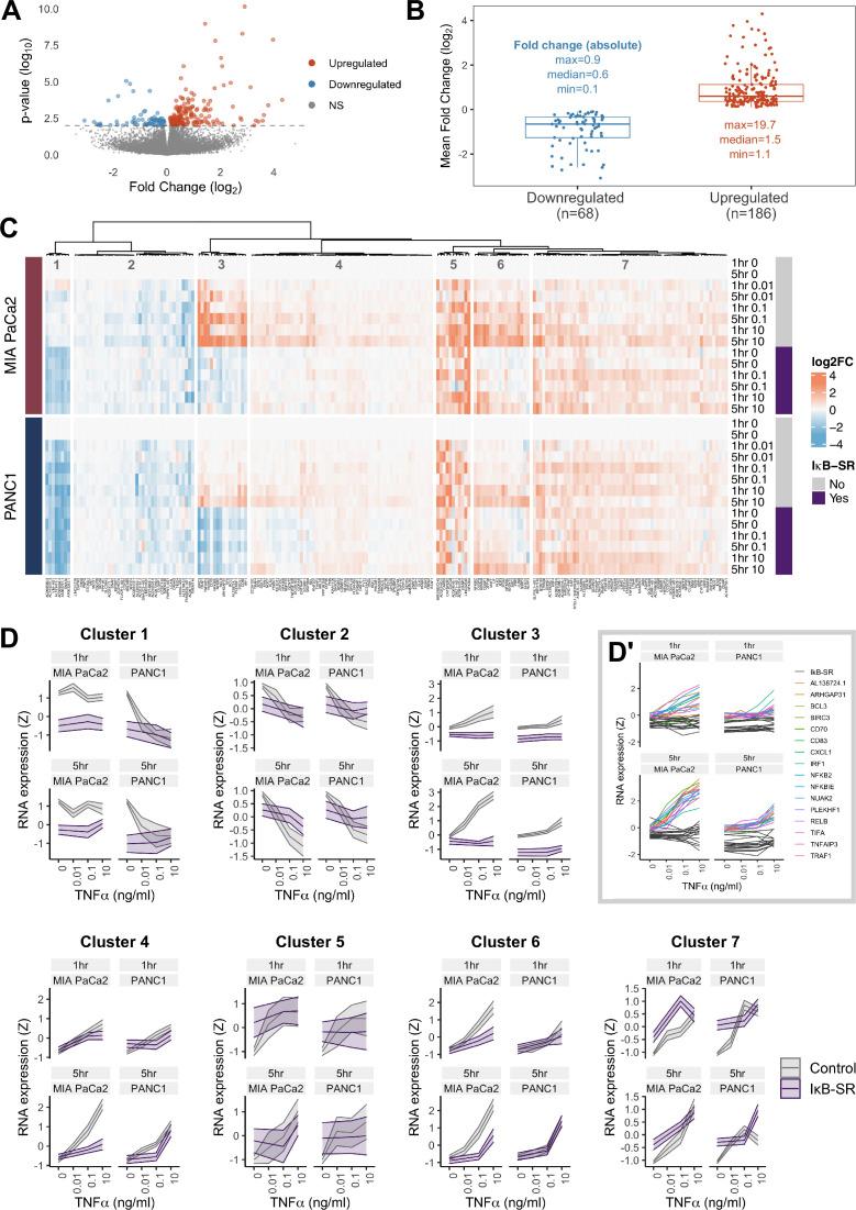 https://cdn.ncbi.nlm.nih.gov/pmc/blobs/9c53/11524587/ed096de8564a/elife-86042-fig3.jpg