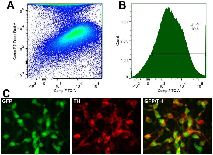 https://cdn.ncbi.nlm.nih.gov/pmc/blobs/9c53/4251919/e47932755668/pone.0113151.g004.jpg