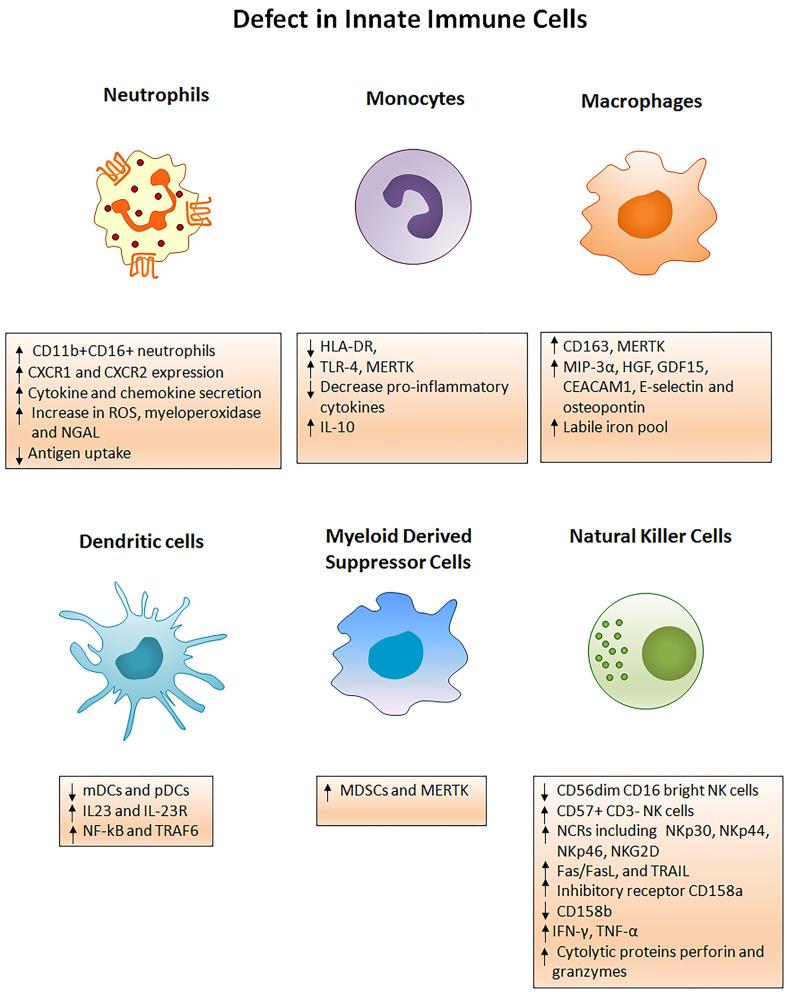 https://cdn.ncbi.nlm.nih.gov/pmc/blobs/9c53/7578249/43675ade6c99/fimmu-11-02013-g0002.jpg