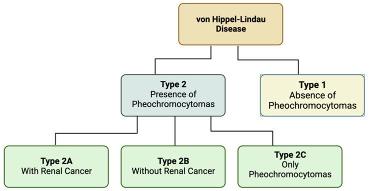 https://cdn.ncbi.nlm.nih.gov/pmc/blobs/9c58/10971194/6f95af5e5d03/jcm-13-01648-g004.jpg