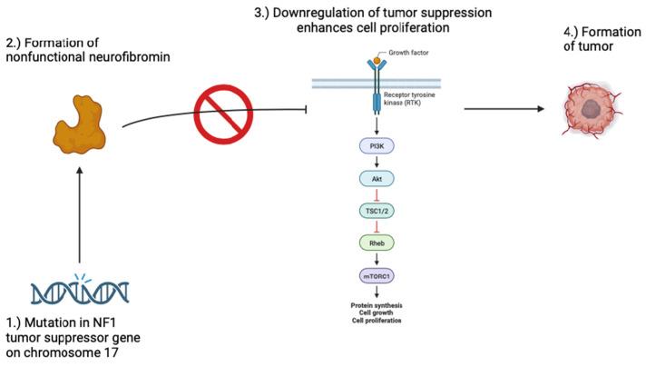 https://cdn.ncbi.nlm.nih.gov/pmc/blobs/9c58/10971194/dda27c742e15/jcm-13-01648-g001.jpg