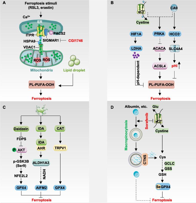 https://cdn.ncbi.nlm.nih.gov/pmc/blobs/9c5a/11157757/59d40bc423c0/13045_2024_1564_Fig2_HTML.jpg