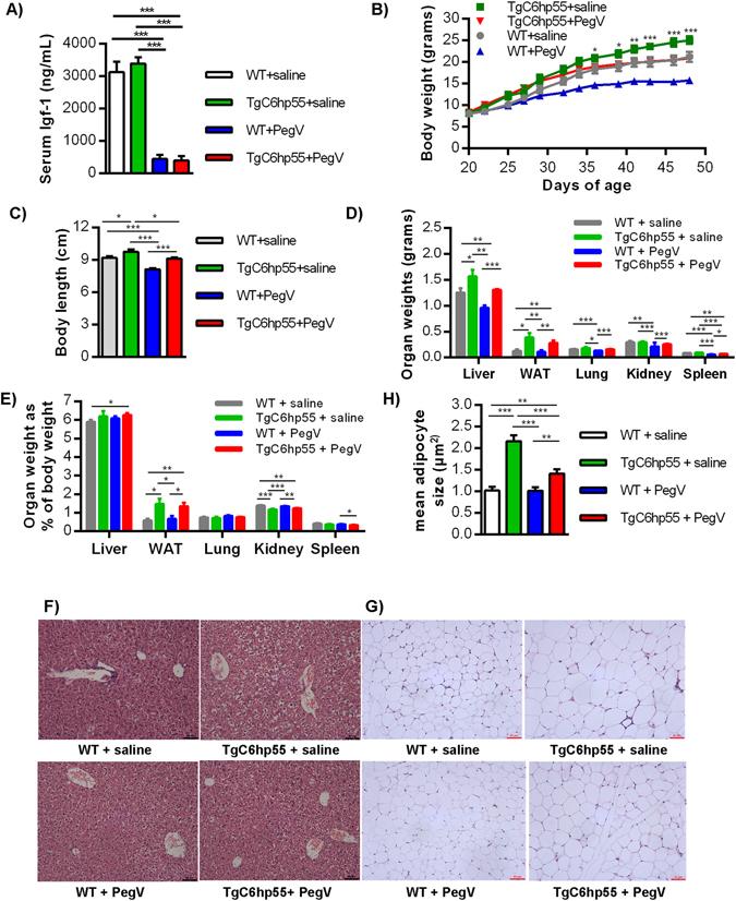https://cdn.ncbi.nlm.nih.gov/pmc/blobs/9c5b/5445072/ace524b938bc/41598_2017_2581_Fig7_HTML.jpg
