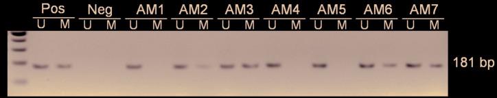 https://cdn.ncbi.nlm.nih.gov/pmc/blobs/9c5b/7338066/a2fd57b74e84/medoral-25-e481-g001.jpg