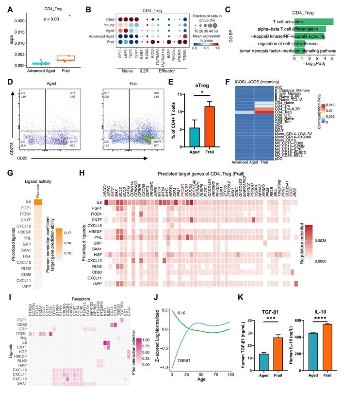https://cdn.ncbi.nlm.nih.gov/pmc/blobs/9c60/12266785/eeeeaef47a2e/ACEL-24-e70082-g001.jpg
