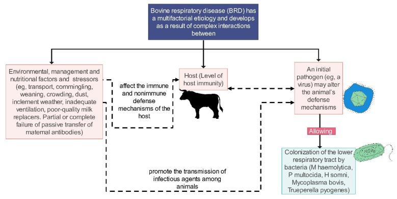 https://cdn.ncbi.nlm.nih.gov/pmc/blobs/9c61/10885951/2b4846cfa645/animals-14-00627-g002.jpg
