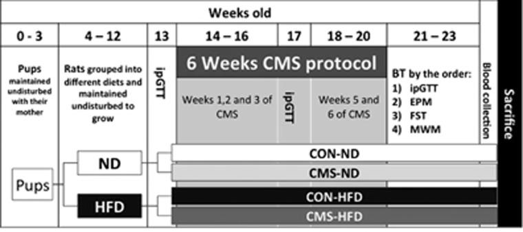 https://cdn.ncbi.nlm.nih.gov/pmc/blobs/9c62/5545690/3a31c8f35ef0/tp2015178f1.jpg