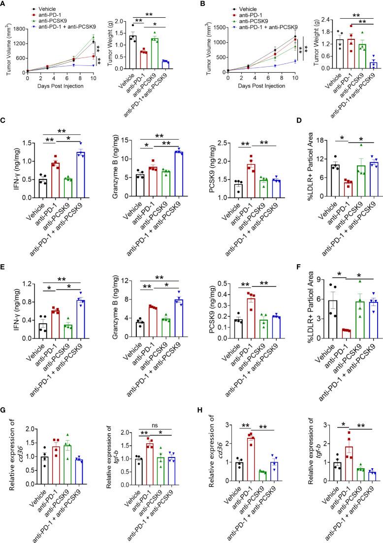 https://cdn.ncbi.nlm.nih.gov/pmc/blobs/9c62/9393481/7f063d28ea57/fimmu-13-947756-g003.jpg