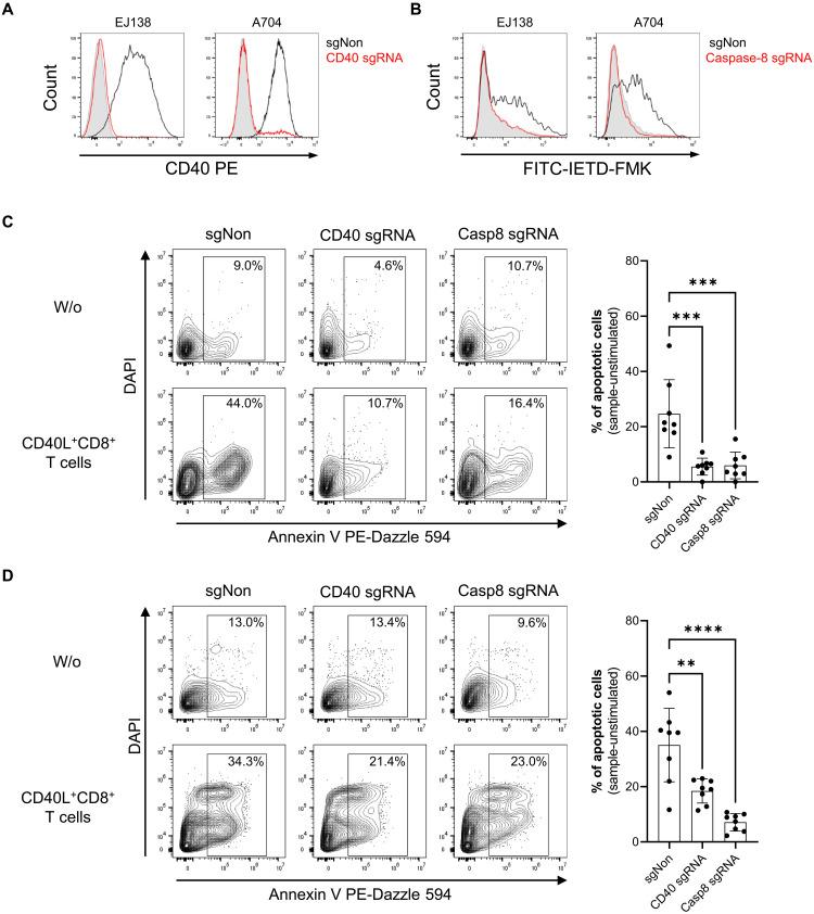 https://cdn.ncbi.nlm.nih.gov/pmc/blobs/9c65/12094236/7ea6b51e537d/sciadv.adr9331-f6.jpg