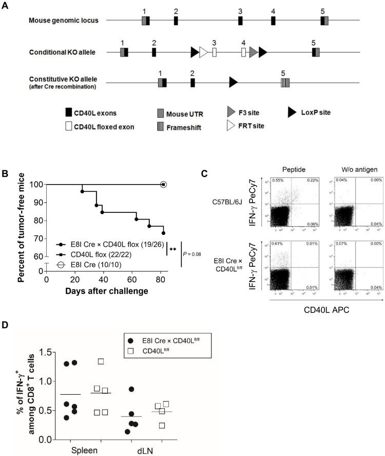 https://cdn.ncbi.nlm.nih.gov/pmc/blobs/9c65/12094236/894aecd41523/sciadv.adr9331-f3.jpg