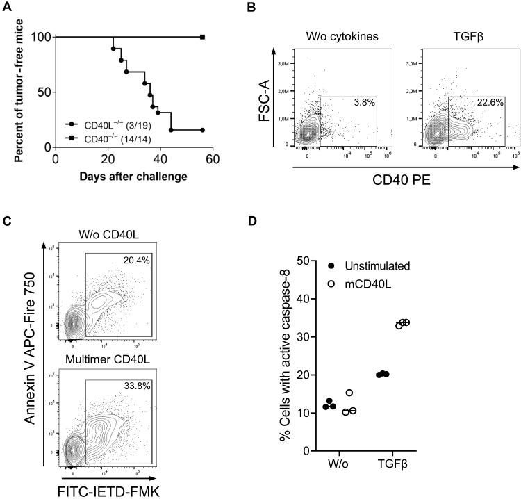 https://cdn.ncbi.nlm.nih.gov/pmc/blobs/9c65/12094236/df49e1d5baf8/sciadv.adr9331-f4.jpg