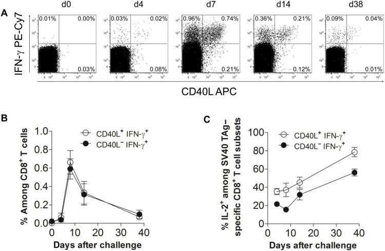 https://cdn.ncbi.nlm.nih.gov/pmc/blobs/9c65/12094236/ee3cf02080e1/sciadv.adr9331-f1.jpg