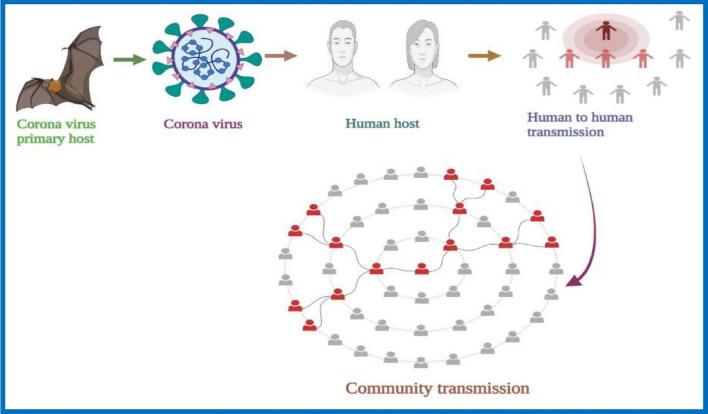 https://cdn.ncbi.nlm.nih.gov/pmc/blobs/9c66/8905571/81030741125c/477_2022_2191_Fig1_HTML.jpg