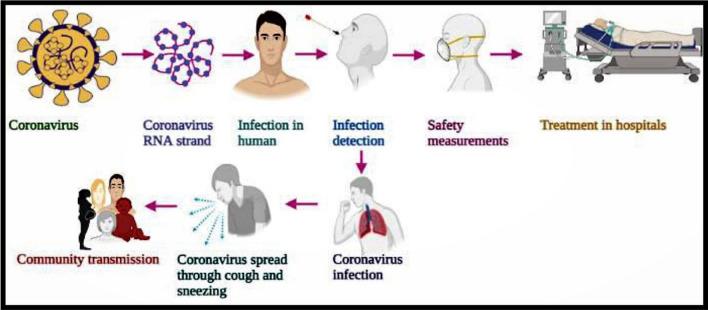 https://cdn.ncbi.nlm.nih.gov/pmc/blobs/9c66/8905571/cf132e8195b4/477_2022_2191_Fig2_HTML.jpg