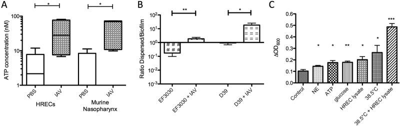 https://cdn.ncbi.nlm.nih.gov/pmc/blobs/9c67/3735180/fe70b9b79f23/mbo0041315710002.jpg