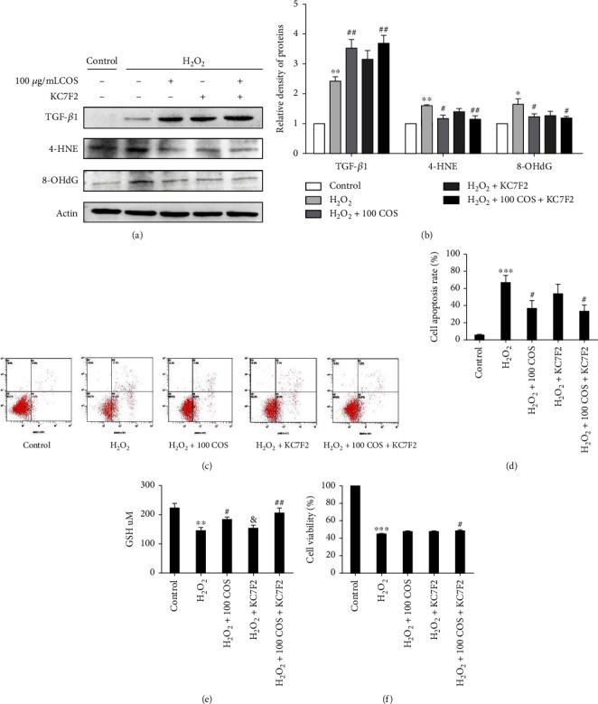 https://cdn.ncbi.nlm.nih.gov/pmc/blobs/9c69/8993563/2e5d139384d2/OMCL2022-4247042.007.jpg