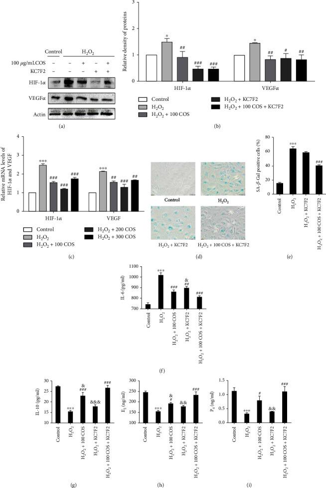 https://cdn.ncbi.nlm.nih.gov/pmc/blobs/9c69/8993563/707e4a06a2ef/OMCL2022-4247042.006.jpg