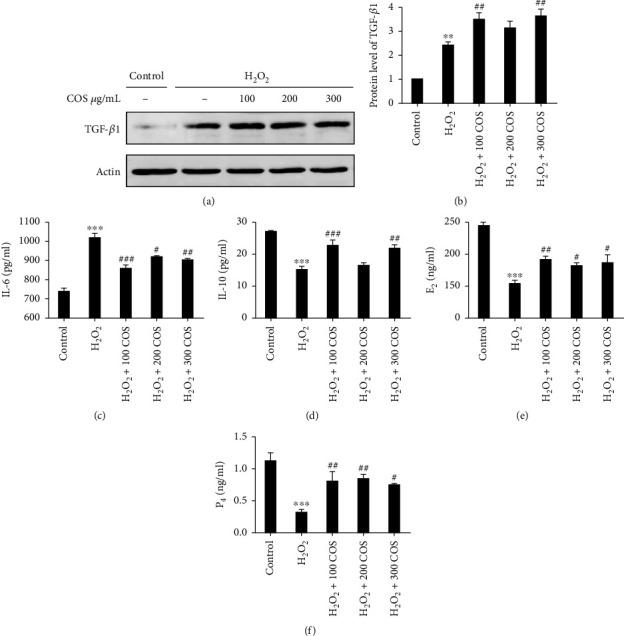 https://cdn.ncbi.nlm.nih.gov/pmc/blobs/9c69/8993563/91236f7b4c49/OMCL2022-4247042.003.jpg