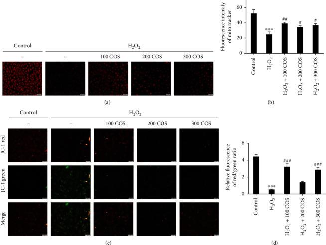 https://cdn.ncbi.nlm.nih.gov/pmc/blobs/9c69/8993563/fa8bb5bcf4d8/OMCL2022-4247042.005.jpg