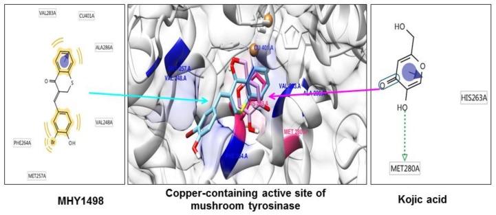 https://cdn.ncbi.nlm.nih.gov/pmc/blobs/9c6b/6321646/c22a00fabd7f/molecules-23-03307-g004.jpg