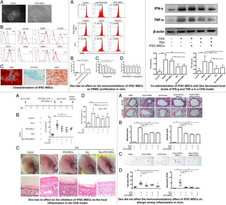 https://cdn.ncbi.nlm.nih.gov/pmc/blobs/9c6c/11487032/2bf45f3bda7d/js9-110-6432-g007.jpg