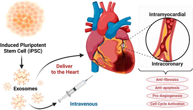 https://cdn.ncbi.nlm.nih.gov/pmc/blobs/9c6c/11487032/37130602b9be/js9-110-6432-g008.jpg