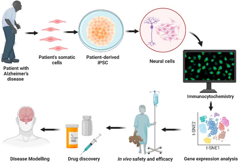 https://cdn.ncbi.nlm.nih.gov/pmc/blobs/9c6c/11487032/6beb86b3eb88/js9-110-6432-g014.jpg