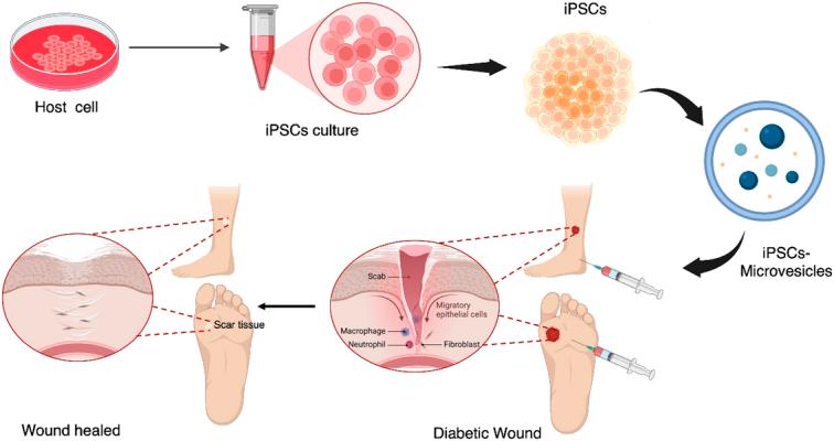 https://cdn.ncbi.nlm.nih.gov/pmc/blobs/9c6c/11487032/8ff597a4f46b/js9-110-6432-g010.jpg