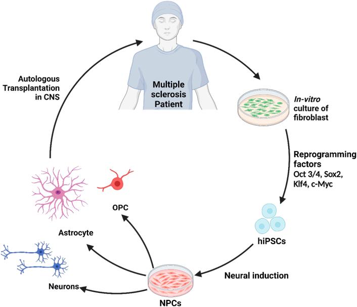 https://cdn.ncbi.nlm.nih.gov/pmc/blobs/9c6c/11487032/9978da6c0521/js9-110-6432-g012.jpg