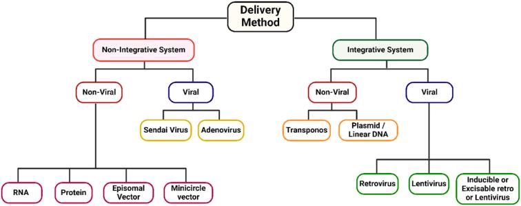 https://cdn.ncbi.nlm.nih.gov/pmc/blobs/9c6c/11487032/99a790eccabb/js9-110-6432-g004.jpg