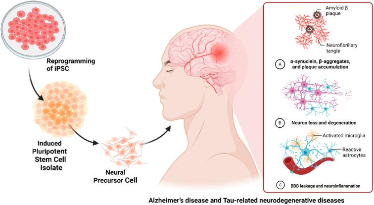 https://cdn.ncbi.nlm.nih.gov/pmc/blobs/9c6c/11487032/9d5bc2b30e43/js9-110-6432-g013.jpg