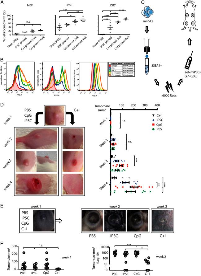 https://cdn.ncbi.nlm.nih.gov/pmc/blobs/9c6c/11487032/d8dbf9194c8a/js9-110-6432-g005.jpg