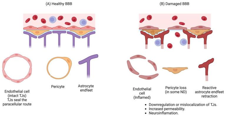 https://cdn.ncbi.nlm.nih.gov/pmc/blobs/9c6c/11945272/02f96a8aefc3/pharmaceutics-17-00281-g001.jpg