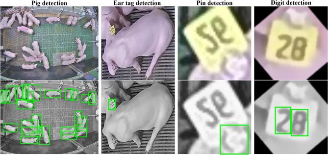 https://cdn.ncbi.nlm.nih.gov/pmc/blobs/9c6d/12181370/0ce111f10110/41598_2025_5283_Fig4_HTML.jpg