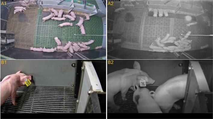 https://cdn.ncbi.nlm.nih.gov/pmc/blobs/9c6d/12181370/53b3e8f962d6/41598_2025_5283_Fig5_HTML.jpg
