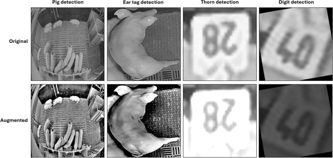 https://cdn.ncbi.nlm.nih.gov/pmc/blobs/9c6d/12181370/5d4e2b66fd3a/41598_2025_5283_Fig9_HTML.jpg