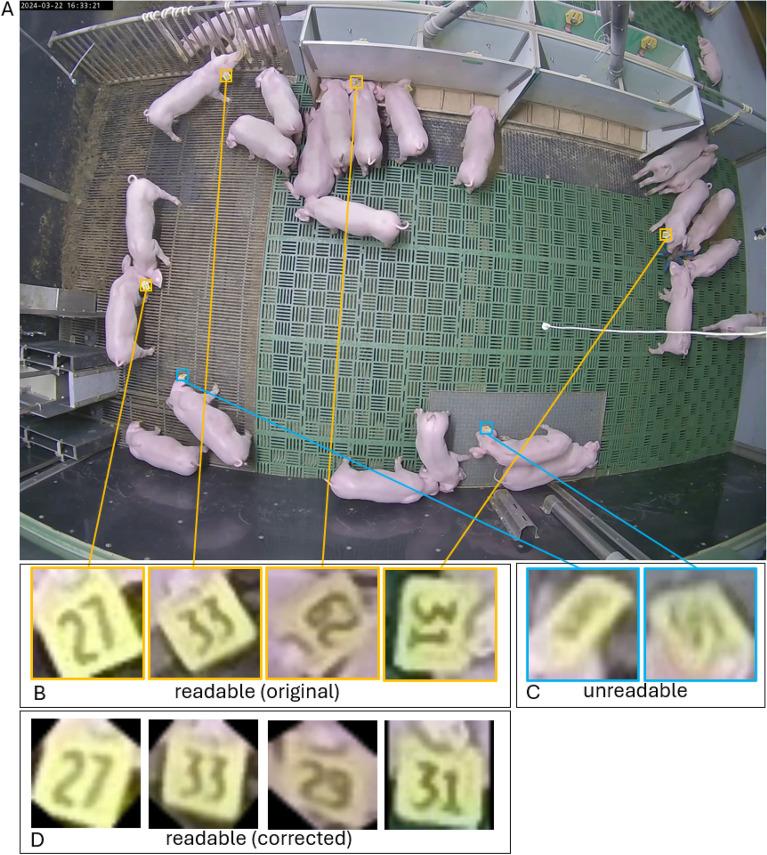 https://cdn.ncbi.nlm.nih.gov/pmc/blobs/9c6d/12181370/7ff7115450ca/41598_2025_5283_Fig1_HTML.jpg