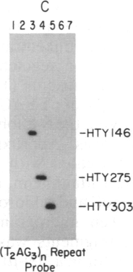 https://cdn.ncbi.nlm.nih.gov/pmc/blobs/9c6d/297813/e542e1333a88/pnas00283-0239-c.jpg
