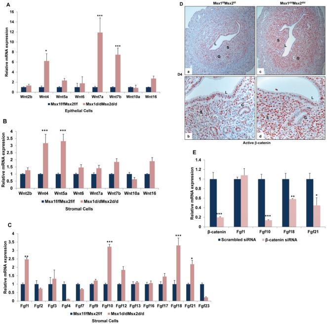 https://cdn.ncbi.nlm.nih.gov/pmc/blobs/9c6f/3285581/90de451e5ce8/pgen.1002500.g005.jpg