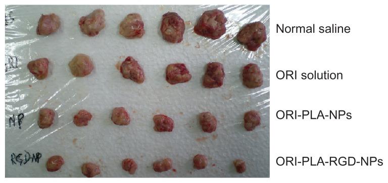 https://cdn.ncbi.nlm.nih.gov/pmc/blobs/9c70/3263413/2d86255c4e74/ijn-7-211f7.jpg