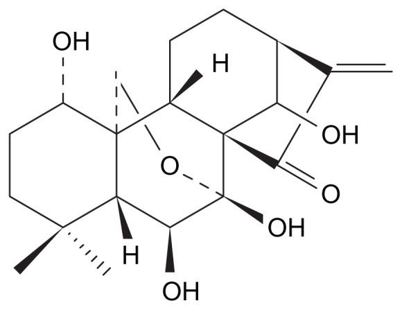 https://cdn.ncbi.nlm.nih.gov/pmc/blobs/9c70/3263413/5c1a9567ab2d/ijn-7-211f1.jpg
