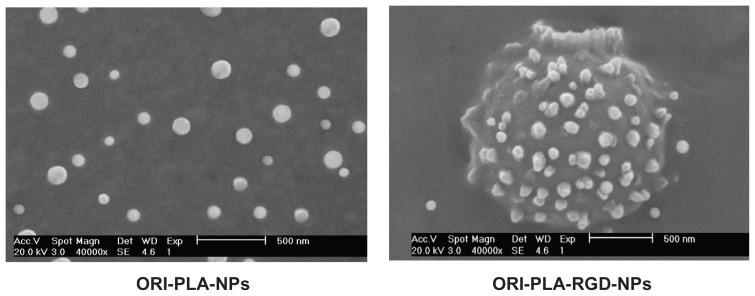 https://cdn.ncbi.nlm.nih.gov/pmc/blobs/9c70/3263413/a2929782bc0a/ijn-7-211f3.jpg