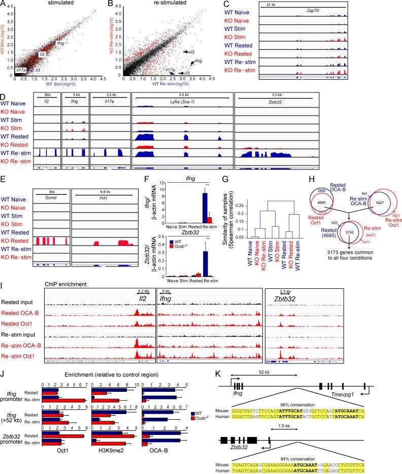 https://cdn.ncbi.nlm.nih.gov/pmc/blobs/9c73/4647264/a171c0adfc06/JEM_20150363_Fig2.jpg