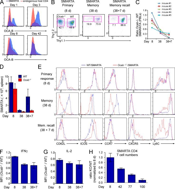 https://cdn.ncbi.nlm.nih.gov/pmc/blobs/9c73/4647264/ab417bb5523c/JEM_20150363_Fig5.jpg