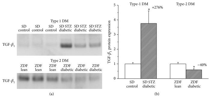 https://cdn.ncbi.nlm.nih.gov/pmc/blobs/9c75/4300149/aedbaca83048/JDR2015-728741.005.jpg