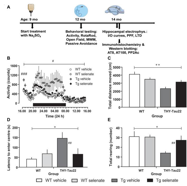 https://cdn.ncbi.nlm.nih.gov/pmc/blobs/9c75/7578417/5bc3833ff659/fnmol-13-570223-g0001.jpg