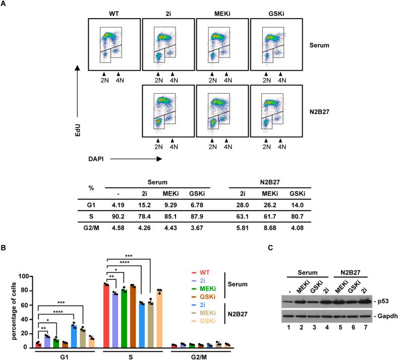 https://cdn.ncbi.nlm.nih.gov/pmc/blobs/9c78/9791322/ade2d59d90e7/gr4.jpg