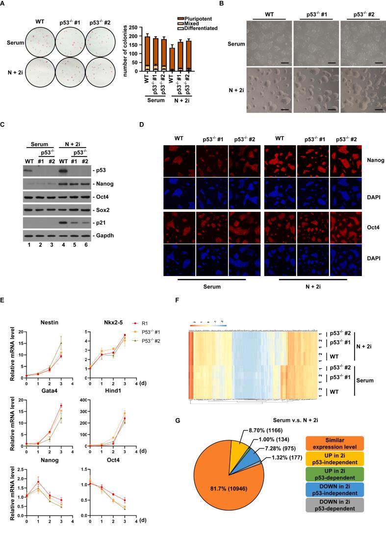 https://cdn.ncbi.nlm.nih.gov/pmc/blobs/9c78/9791322/b3dd688c1976/gr3.jpg